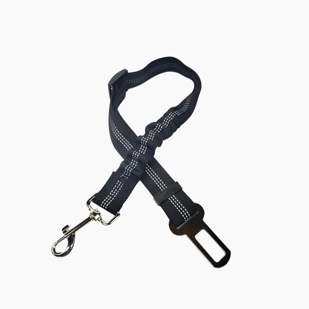 Dog seat belt