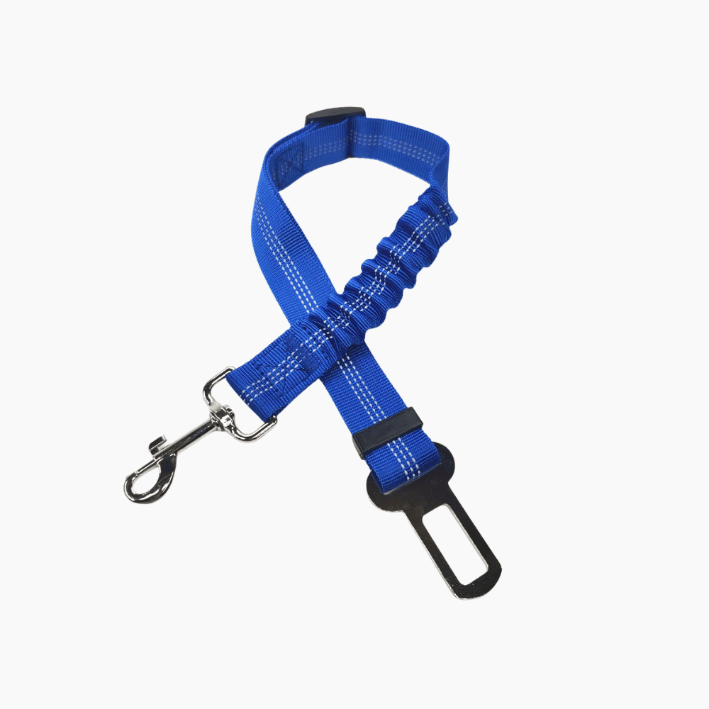 Dog seat belt